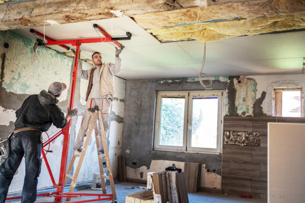 Best Insulation Maintenance and Repair in Gorman, TX